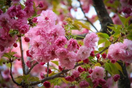 Musée de la Monnaie